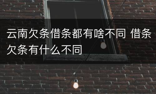 云南欠条借条都有啥不同 借条欠条有什么不同