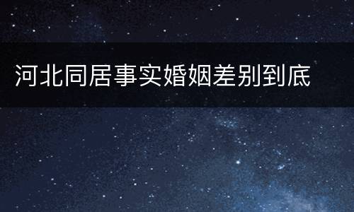 河北同居事实婚姻差别到底