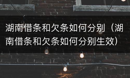 湖南借条和欠条如何分别（湖南借条和欠条如何分别生效）