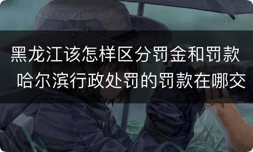 黑龙江该怎样区分罚金和罚款 哈尔滨行政处罚的罚款在哪交