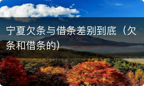 宁夏欠条与借条差别到底（欠条和借条的）