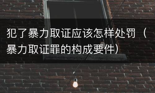 犯了暴力取证应该怎样处罚（暴力取证罪的构成要件）