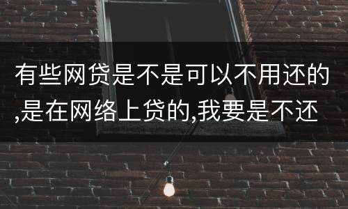 有些网贷是不是可以不用还的,是在网络上贷的,我要是不还,他们起诉我的可能性大不大