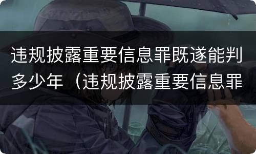 违规披露重要信息罪既遂能判多少年（违规披露重要信息罪既遂能判多少年呢）