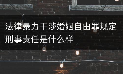 法律暴力干涉婚姻自由罪规定刑事责任是什么样