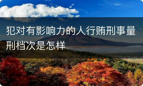 犯对有影响力的人行贿刑事量刑档次是怎样