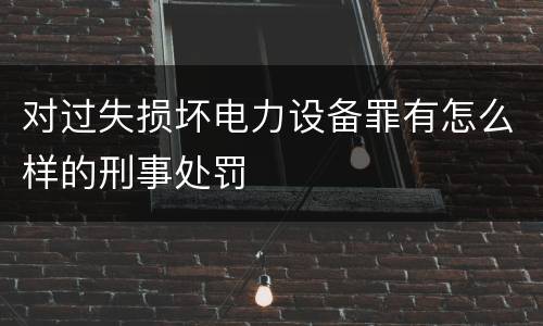 对过失损坏电力设备罪有怎么样的刑事处罚