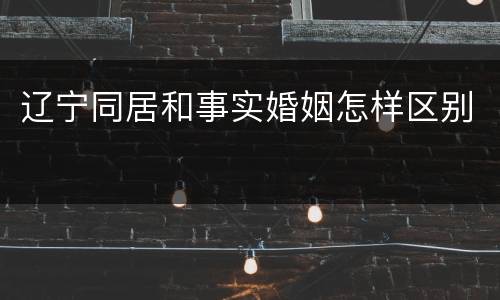 辽宁同居和事实婚姻怎样区别