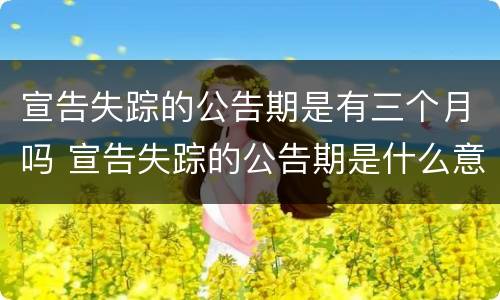 宣告失踪的公告期是有三个月吗 宣告失踪的公告期是什么意思