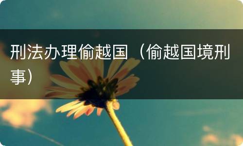 刑法办理偷越国（偷越国境刑事）