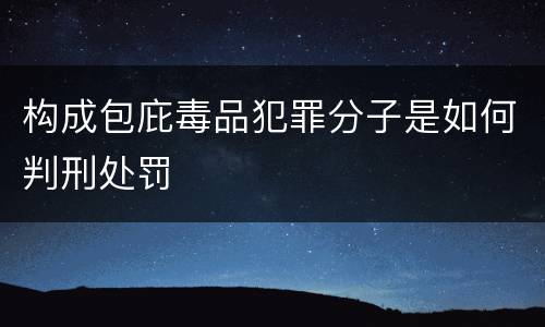 构成包庇毒品犯罪分子是如何判刑处罚