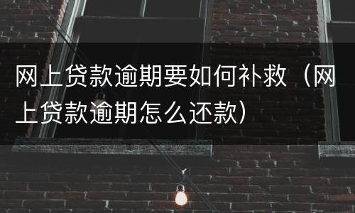 网上贷款逾期要如何补救（网上贷款逾期怎么还款）
