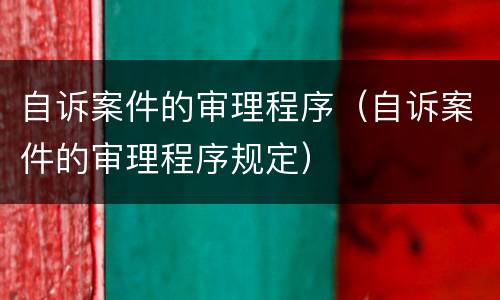 自诉案件的审理程序（自诉案件的审理程序规定）