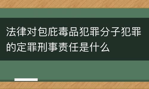 法律对包庇毒品犯罪分子犯罪的定罪刑事责任是什么
