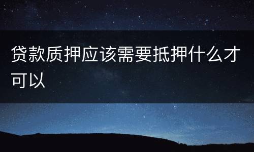 贷款质押应该需要抵押什么才可以
