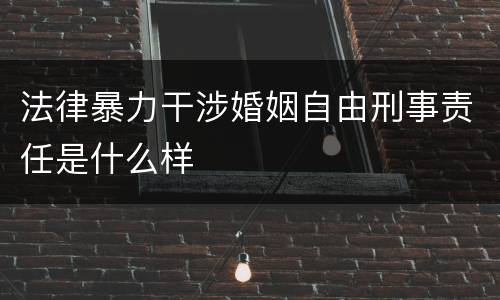 法律暴力干涉婚姻自由刑事责任是什么样