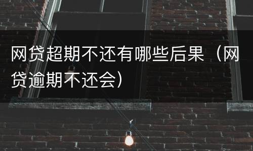 网贷超期不还有哪些后果（网贷逾期不还会）