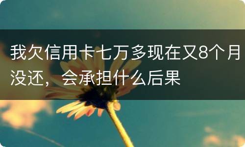 我欠信用卡七万多现在又8个月没还，会承担什么后果