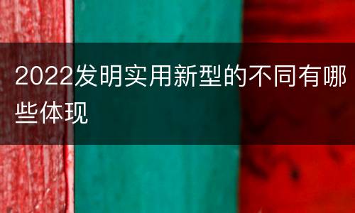2022发明实用新型的不同有哪些体现