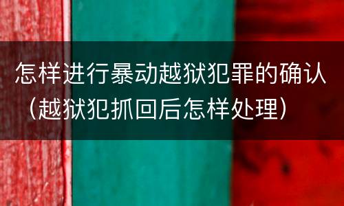 怎样进行暴动越狱犯罪的确认（越狱犯抓回后怎样处理）