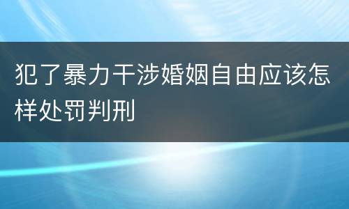 犯了暴力干涉婚姻自由应该怎样处罚判刑