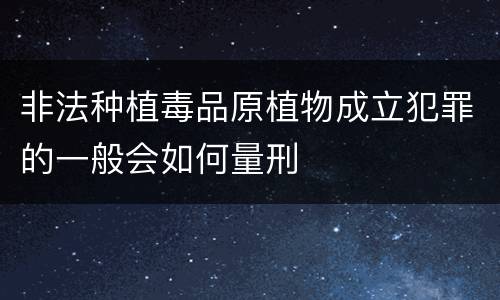 非法种植毒品原植物成立犯罪的一般会如何量刑