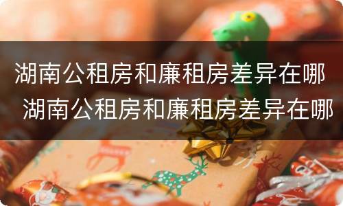 湖南公租房和廉租房差异在哪 湖南公租房和廉租房差异在哪里