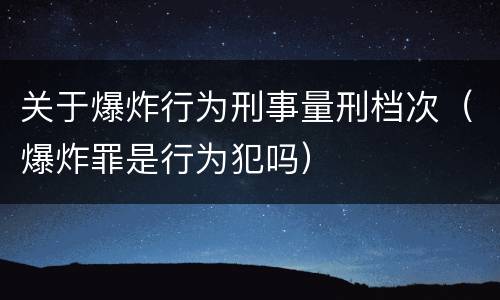 关于爆炸行为刑事量刑档次（爆炸罪是行为犯吗）