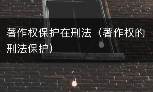 著作权保护在刑法（著作权的刑法保护）