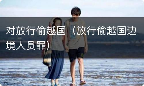 对放行偷越国（放行偷越国边境人员罪）