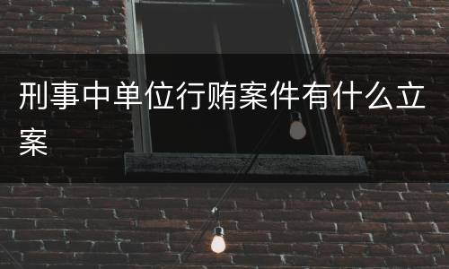 刑事中单位行贿案件有什么立案