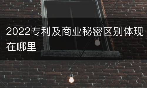 2022专利及商业秘密区别体现在哪里