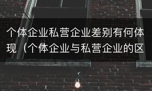 个体企业私营企业差别有何体现（个体企业与私营企业的区别）
