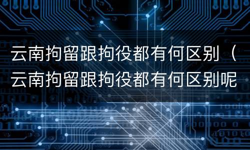 云南拘留跟拘役都有何区别（云南拘留跟拘役都有何区别呢）