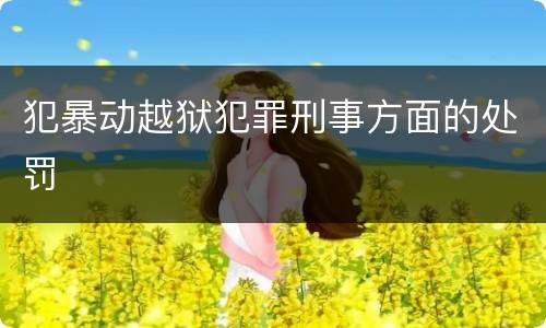 犯暴动越狱犯罪刑事方面的处罚