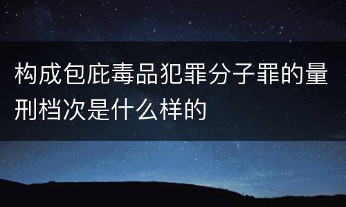 构成包庇毒品犯罪分子罪的量刑档次是什么样的