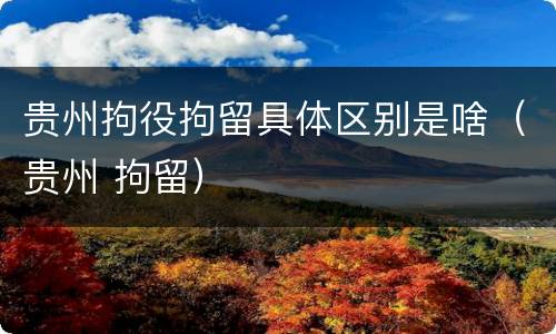 贵州拘役拘留具体区别是啥（贵州 拘留）