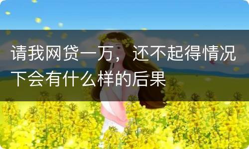 请我网贷一万，还不起得情况下会有什么样的后果