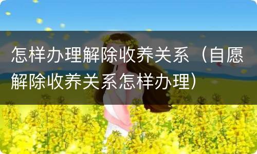 怎样办理解除收养关系（自愿解除收养关系怎样办理）