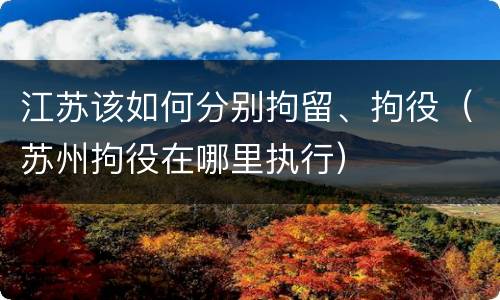 江苏该如何分别拘留、拘役（苏州拘役在哪里执行）