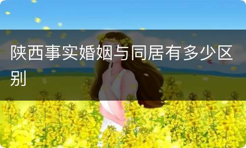 陕西事实婚姻与同居有多少区别