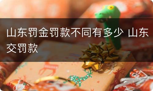 山东罚金罚款不同有多少 山东交罚款
