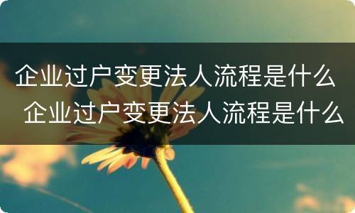 企业过户变更法人流程是什么 企业过户变更法人流程是什么意思