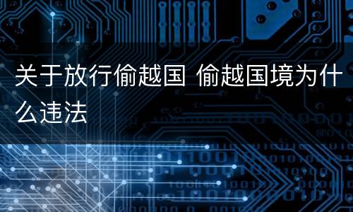 关于放行偷越国 偷越国境为什么违法