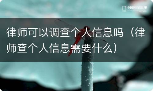 律师可以调查个人信息吗（律师查个人信息需要什么）