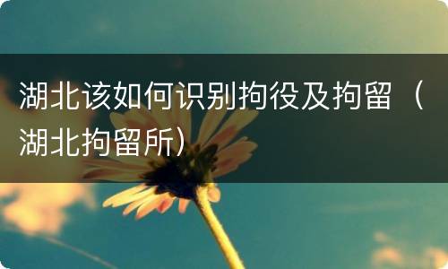 湖北该如何识别拘役及拘留（湖北拘留所）