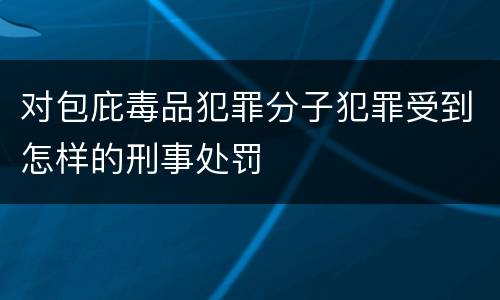 对包庇毒品犯罪分子犯罪受到怎样的刑事处罚