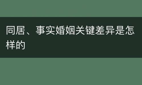 同居、事实婚姻关键差异是怎样的