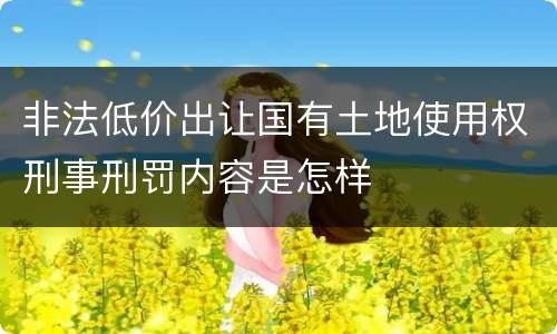 非法低价出让国有土地使用权刑事刑罚内容是怎样