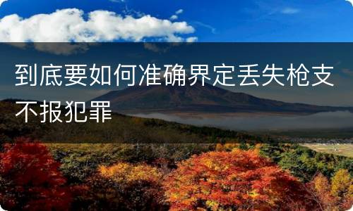到底要如何准确界定丢失枪支不报犯罪